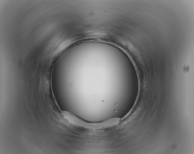 X0000094331354200711091355