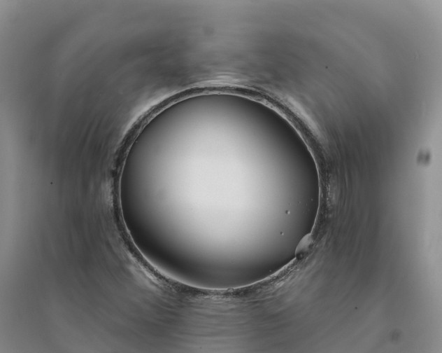 X0000094331356200711091355