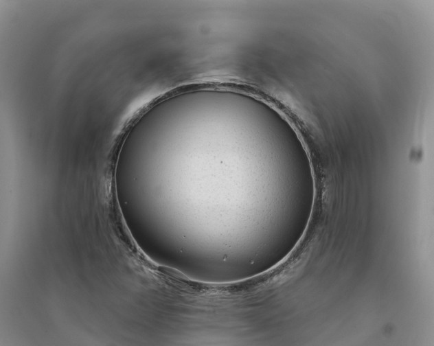X0000094331358200711091355