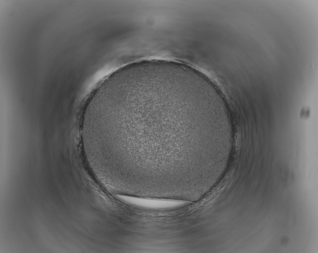 X0000094331359200711091355