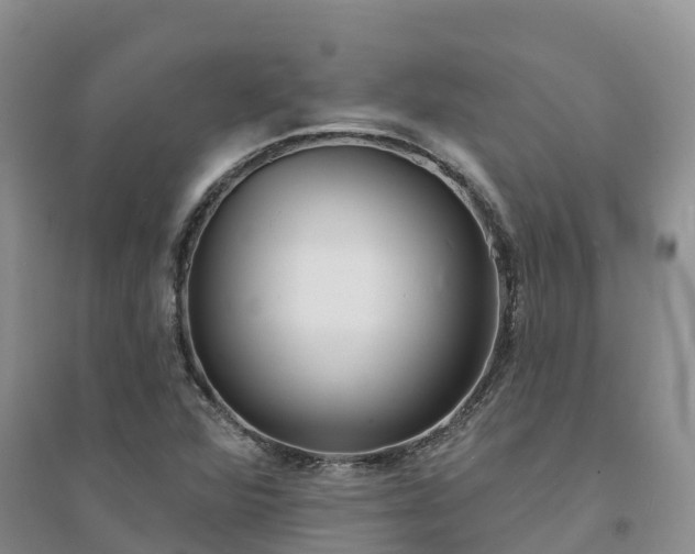 X0000094331360200711091355