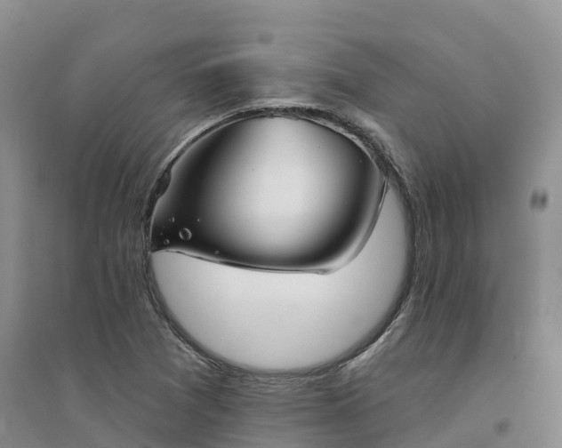 X0000094331361200711091355