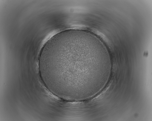 X0000094331362200711091355