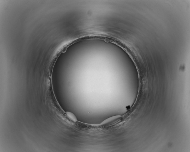 X0000094331363200711091355