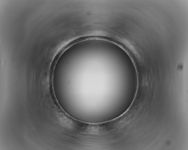 X0000094331364200711091355