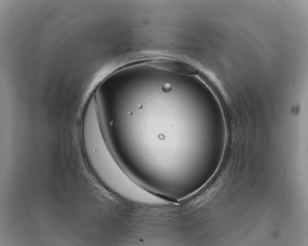 X0000094331365200711091355