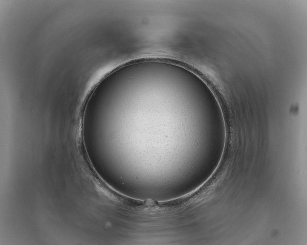 X0000094331366200711091355