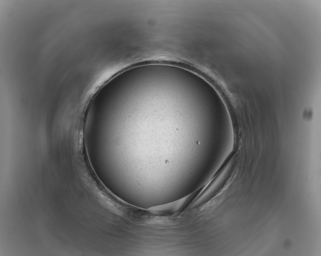 X0000094331367200711091355