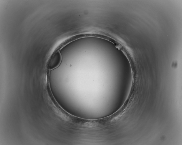 X0000094331368200711091355
