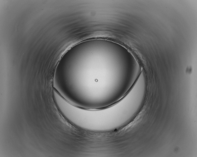 X0000094331369200711091355