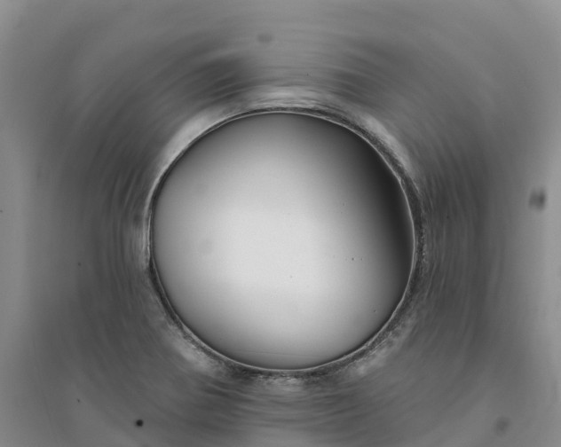 X0000094331370200711091355