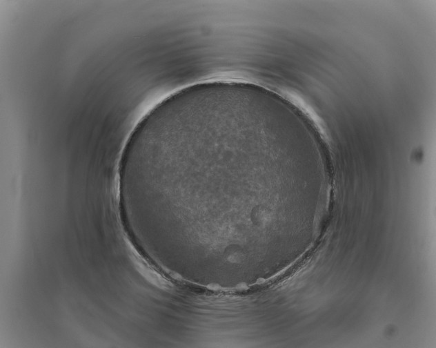X0000094331372200711091355
