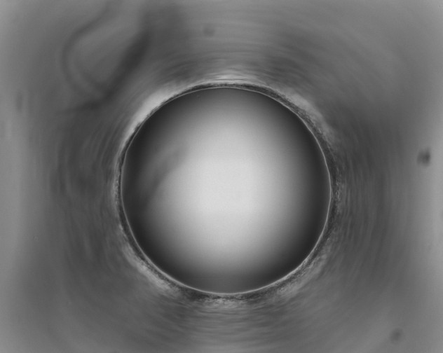 X0000094331374200711091355