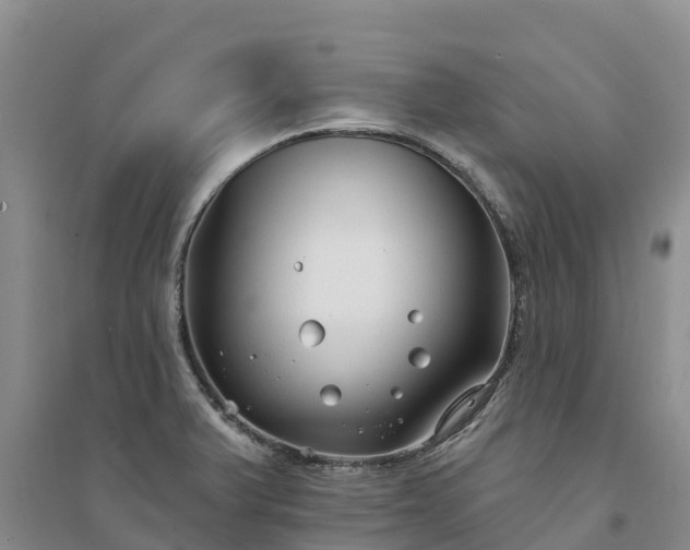 X0000094331375200711091355