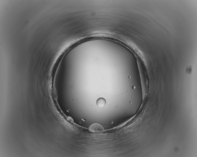 X0000094331376200711091355