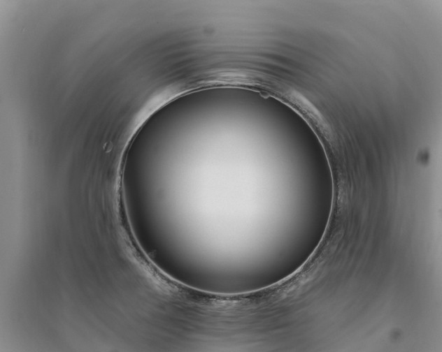 X0000094331378200711091355