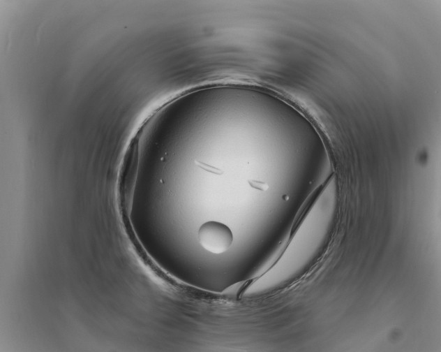 X0000094331379200711091355