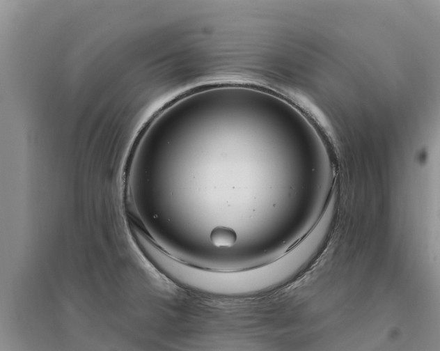 X0000094331380200711091355