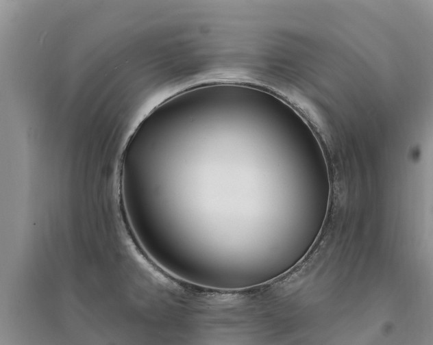 X0000094331382200711091355