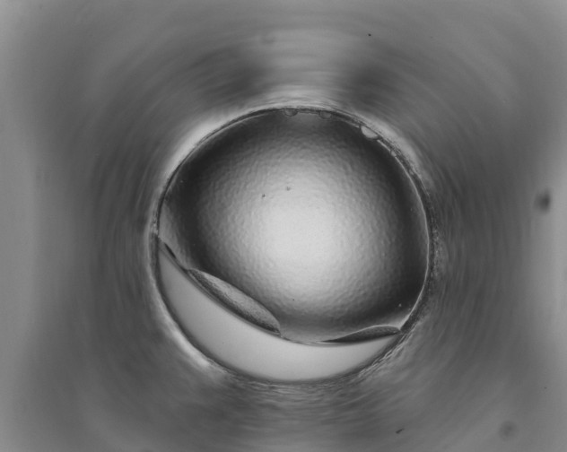 X0000094331383200711091355