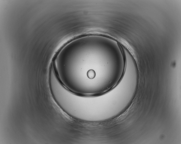 X0000094331384200711091355