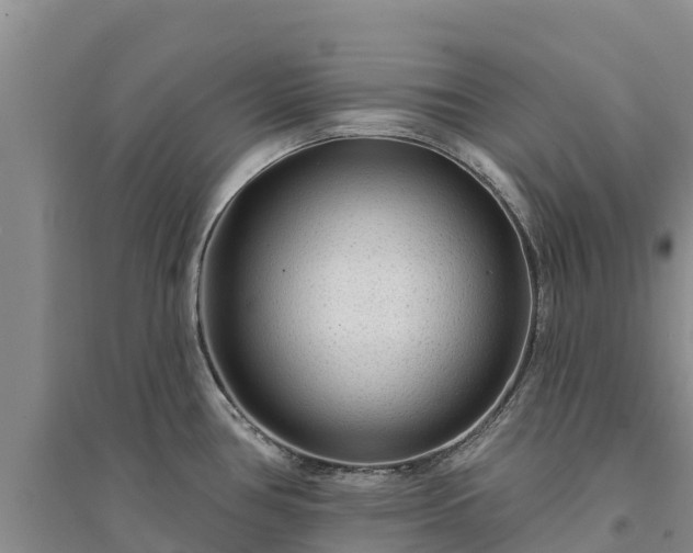 X0000094331386200711091355