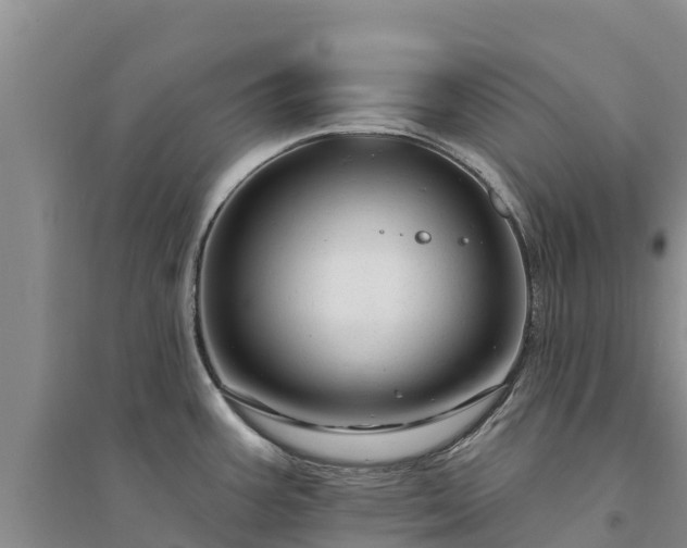X0000094331387200711091355