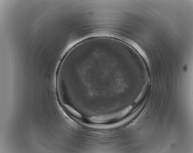 X0000094331388200711091355