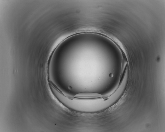 X0000094331389200711091355