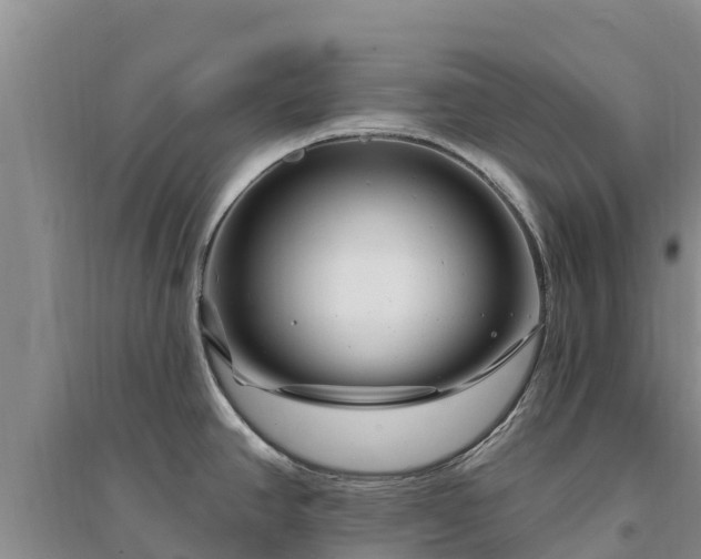 X0000094331390200711091355