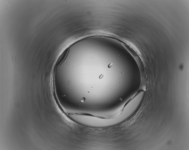 X0000094331391200711091355