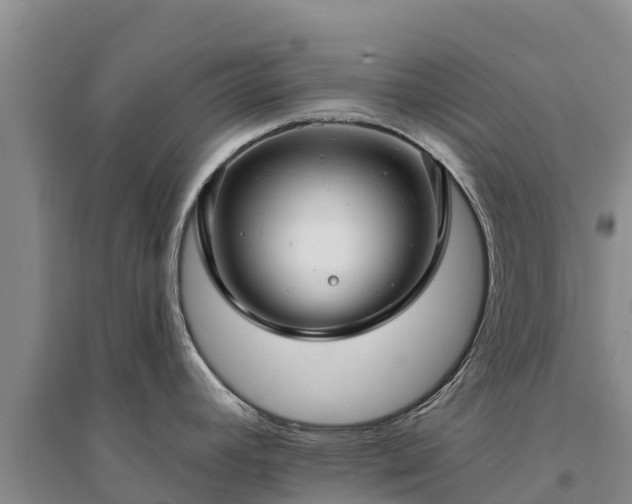 X0000094331392200711091355