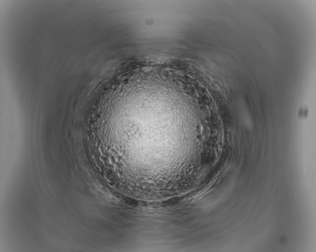 X0000094331393200711091354