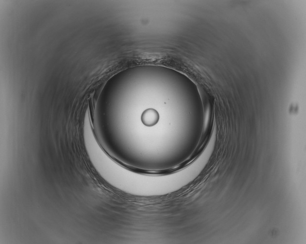 X0000094331394200711091354