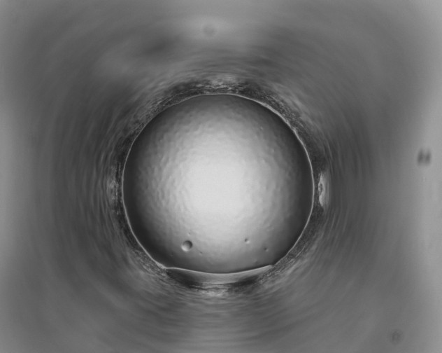 X0000094331395200711091354