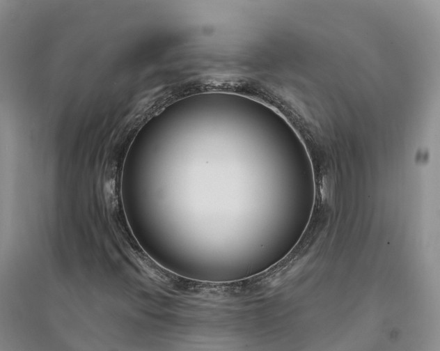 X0000094331396200711091354