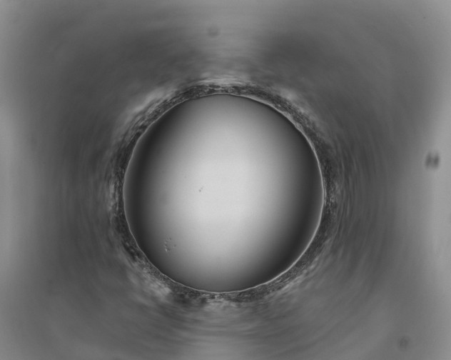 X0000094331398200711091354