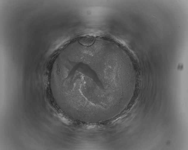 X0000094331399200711091354