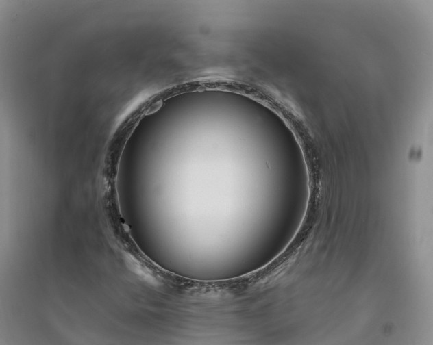 X0000094331400200711091354