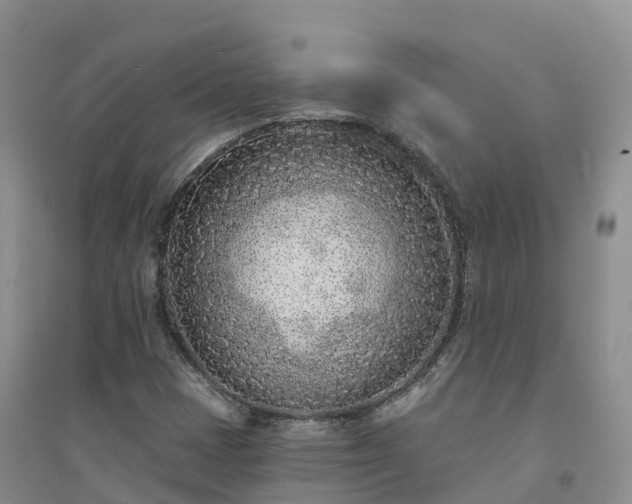 X0000094331401200711091354
