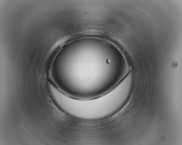 X0000094331402200711091354