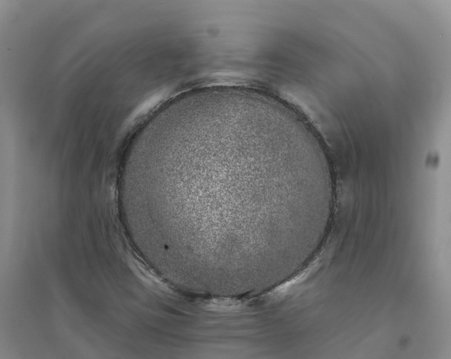 X0000094331403200711091354