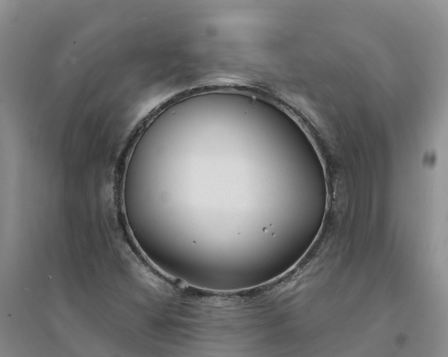 X0000094331404200711091354