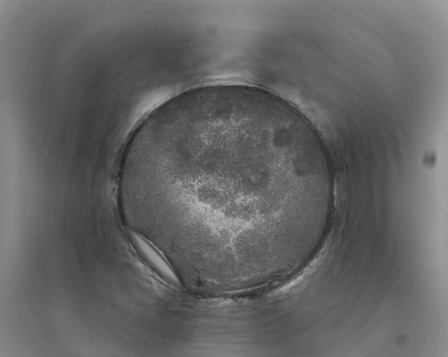 X0000094331405200711091354