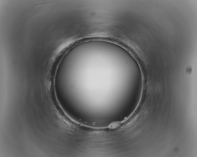 X0000094331406200711091354
