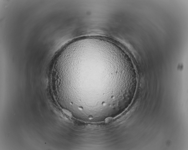 X0000094331407200711091354