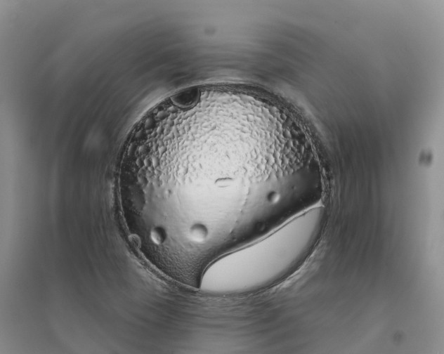 X0000094331409200711091354