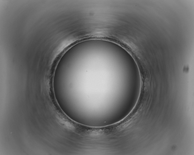X0000094331410200711091354