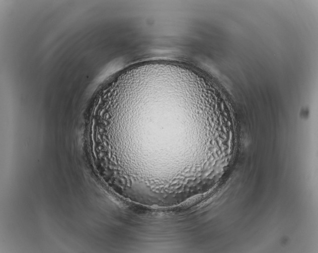 X0000094331411200711091354