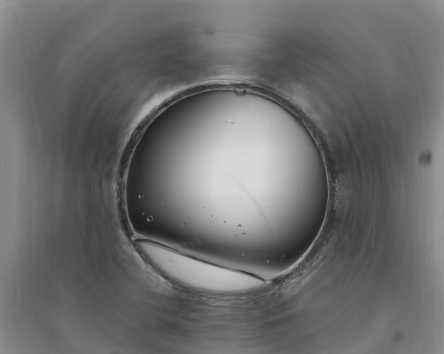 X0000094331412200711091354